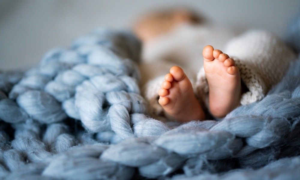 Donazione a favore di chi è concepito e non ancora concepito