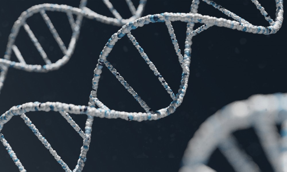Eredità e figli non riconosciuti in vita: estumulazione con test DNA