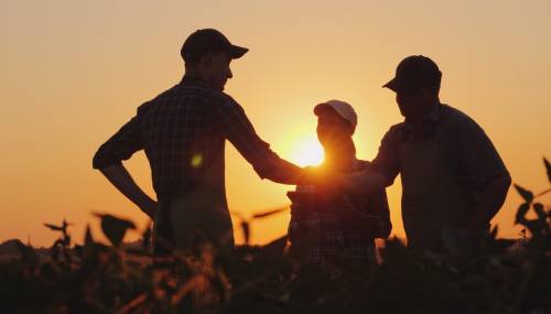The family business and its inheritance division